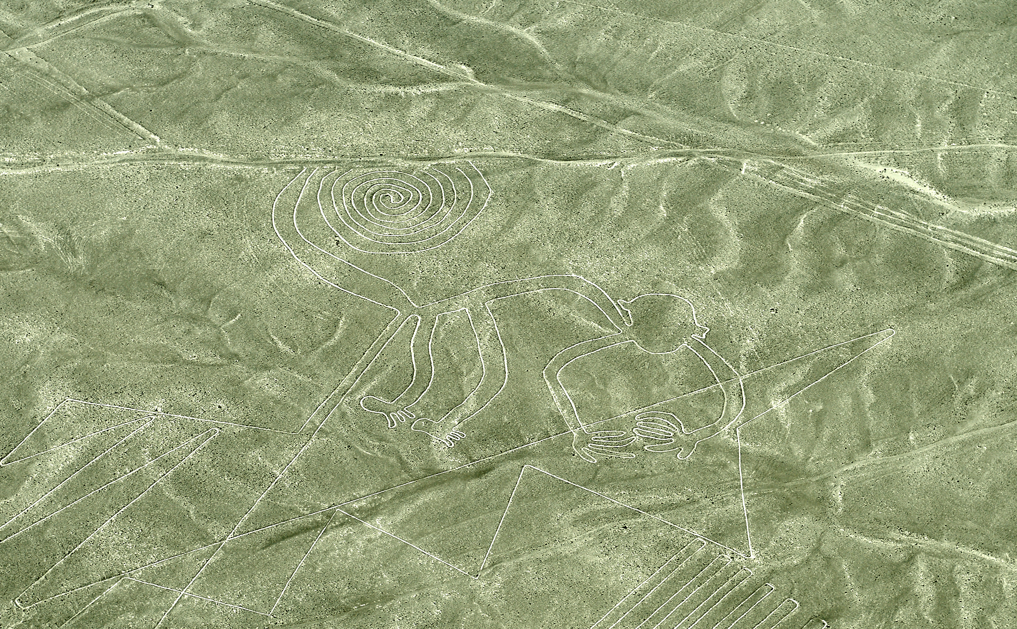 20200305 277 [페루] 나스카 라인